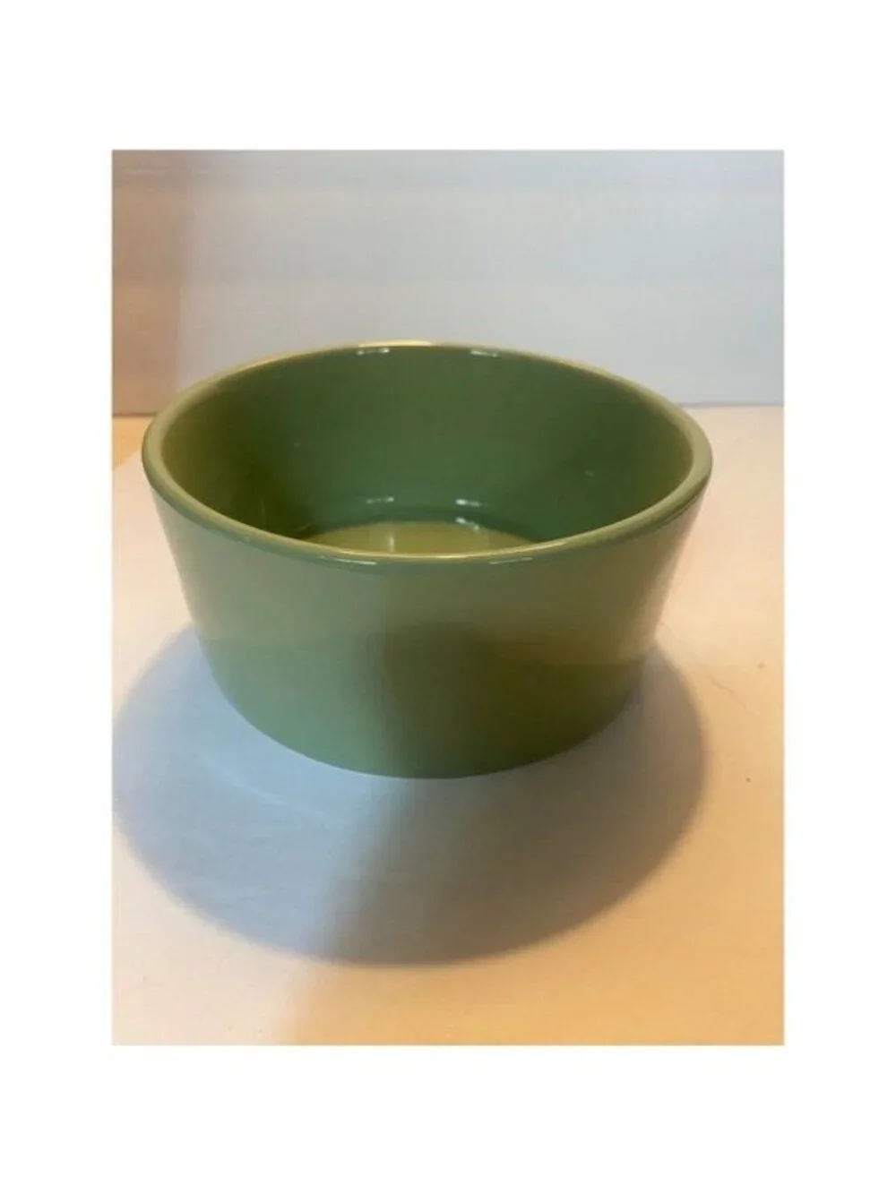 Rae Dunn Turkey Tester Etched Text Thanksgiving Ceramic Pet Bowl Serving Dish